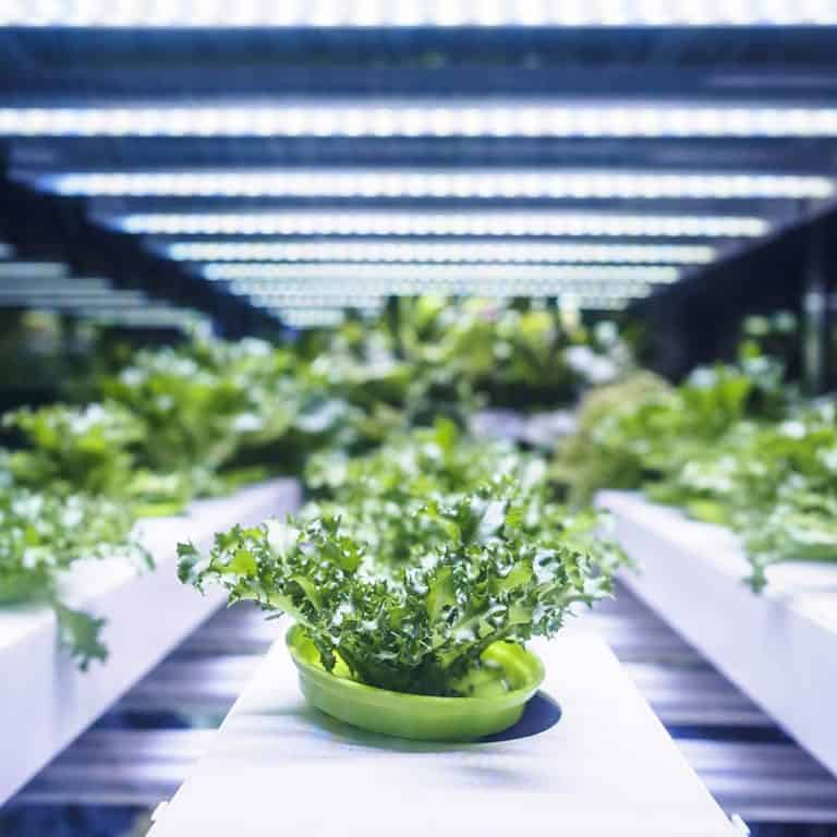 best grow lights